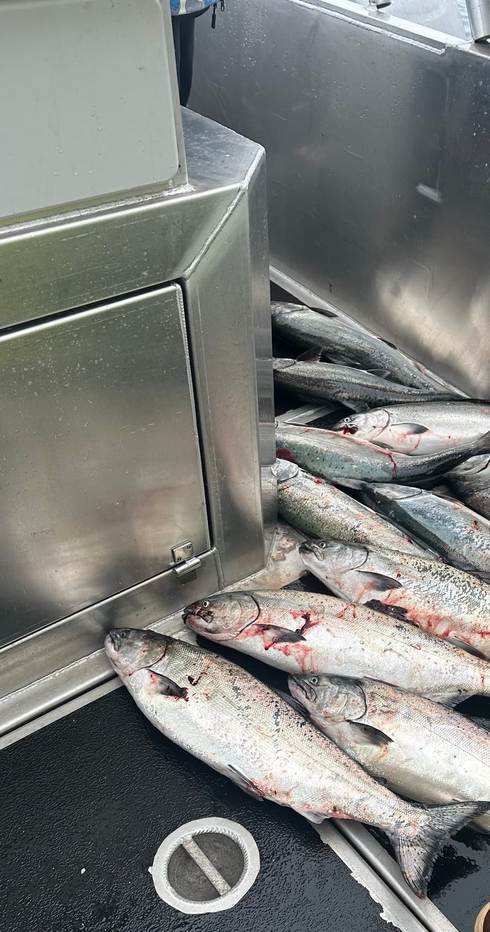 *SEWARD* SALMON ONLY