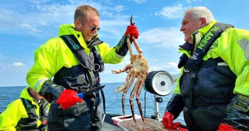 King Crab Safari in Bugøynes with RIB boats  incl. lunch