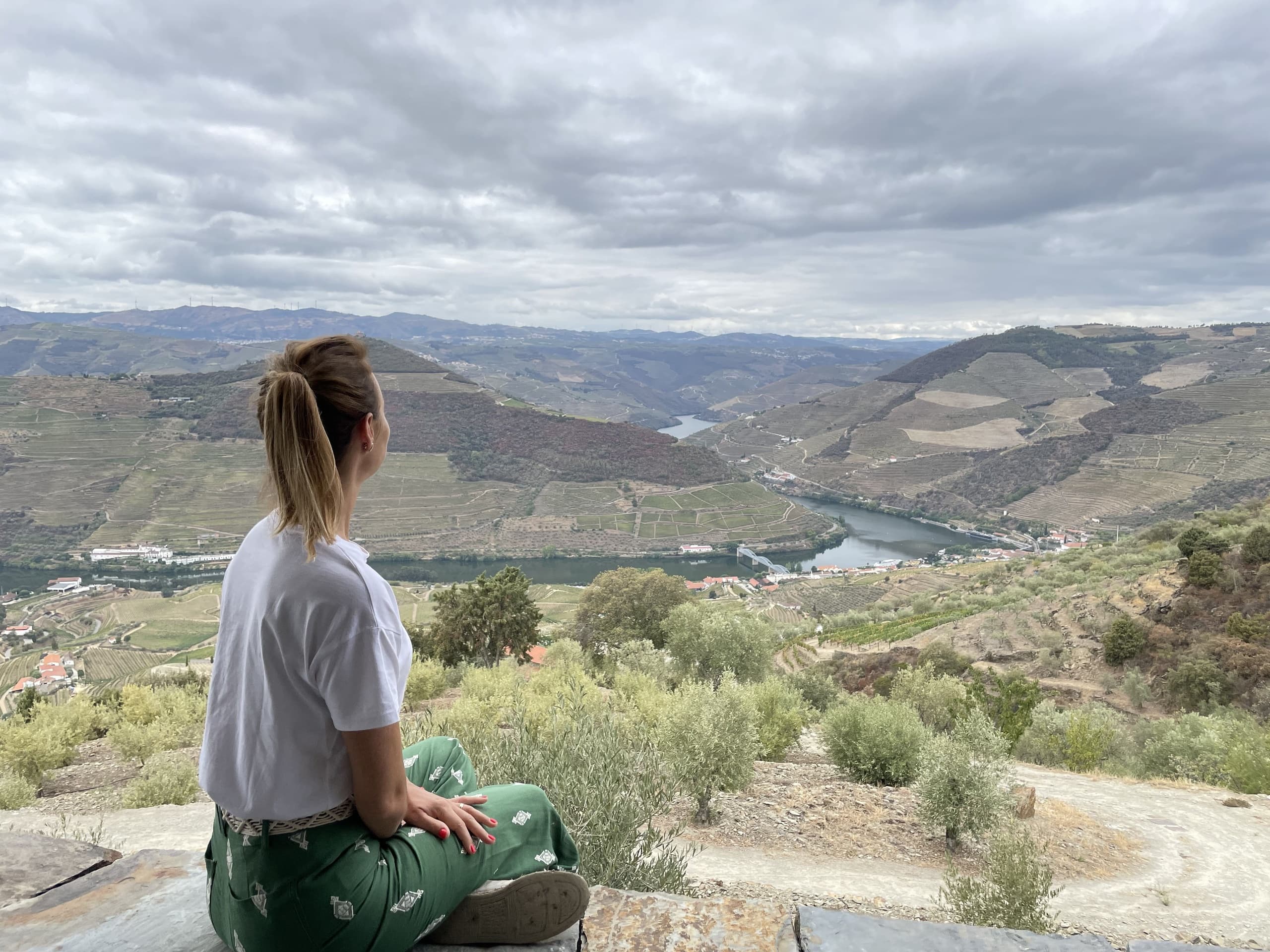 Vale do Douro: Degustação de Vinhos, Passeio de Barco e Almoço