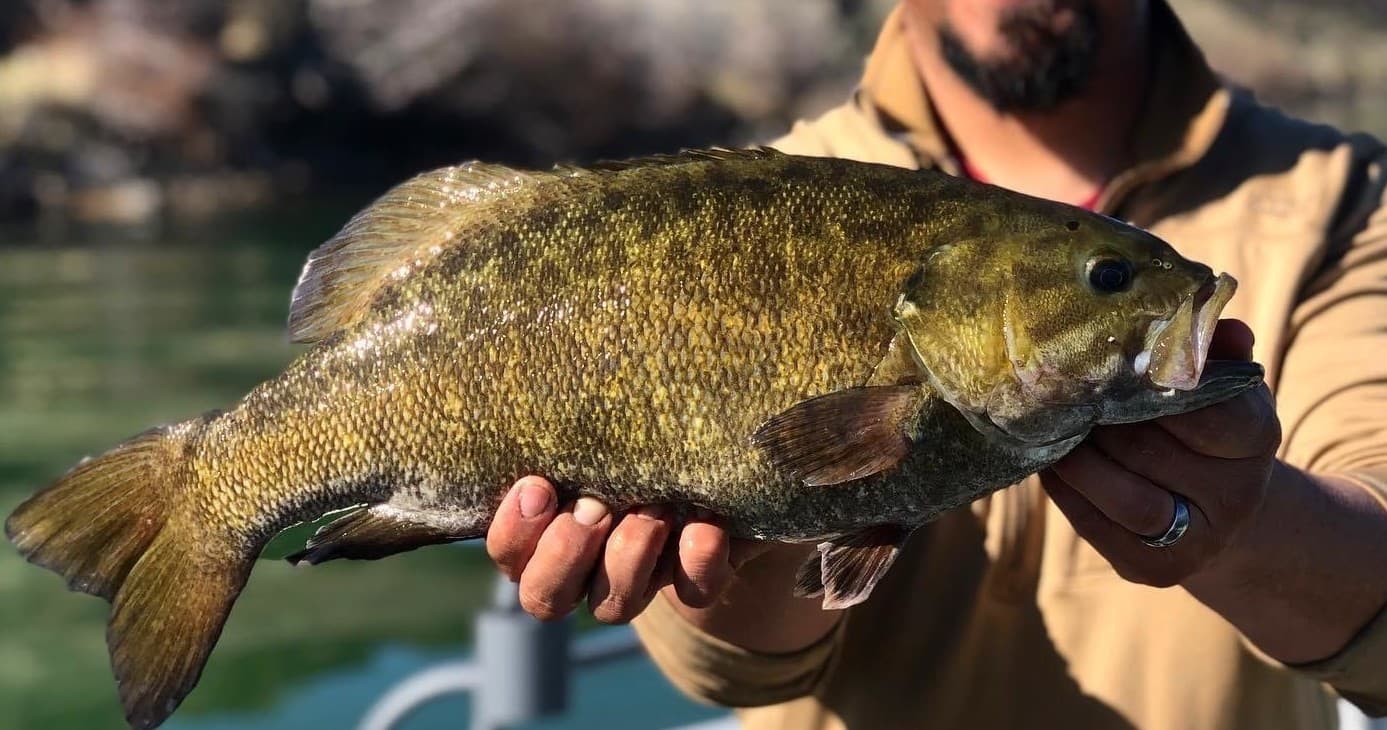 American Falls Bass Fishing