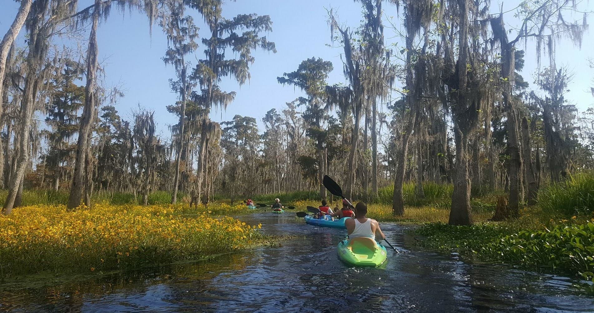 Honey Island Kayak Tour