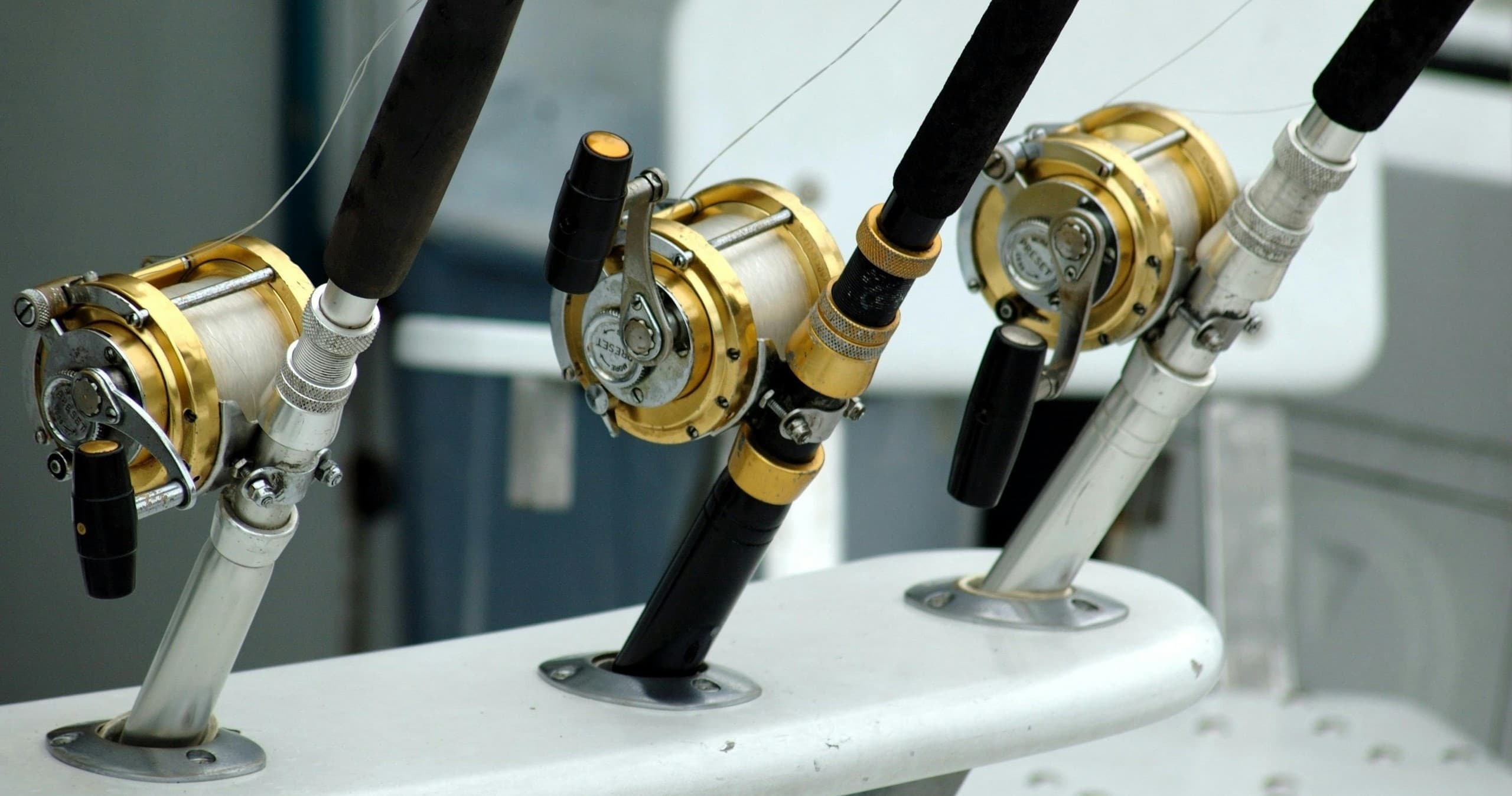5 Hour Nearshore Trip