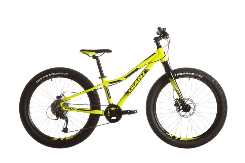 Giant XTC 24 Kids Mountain Bike"