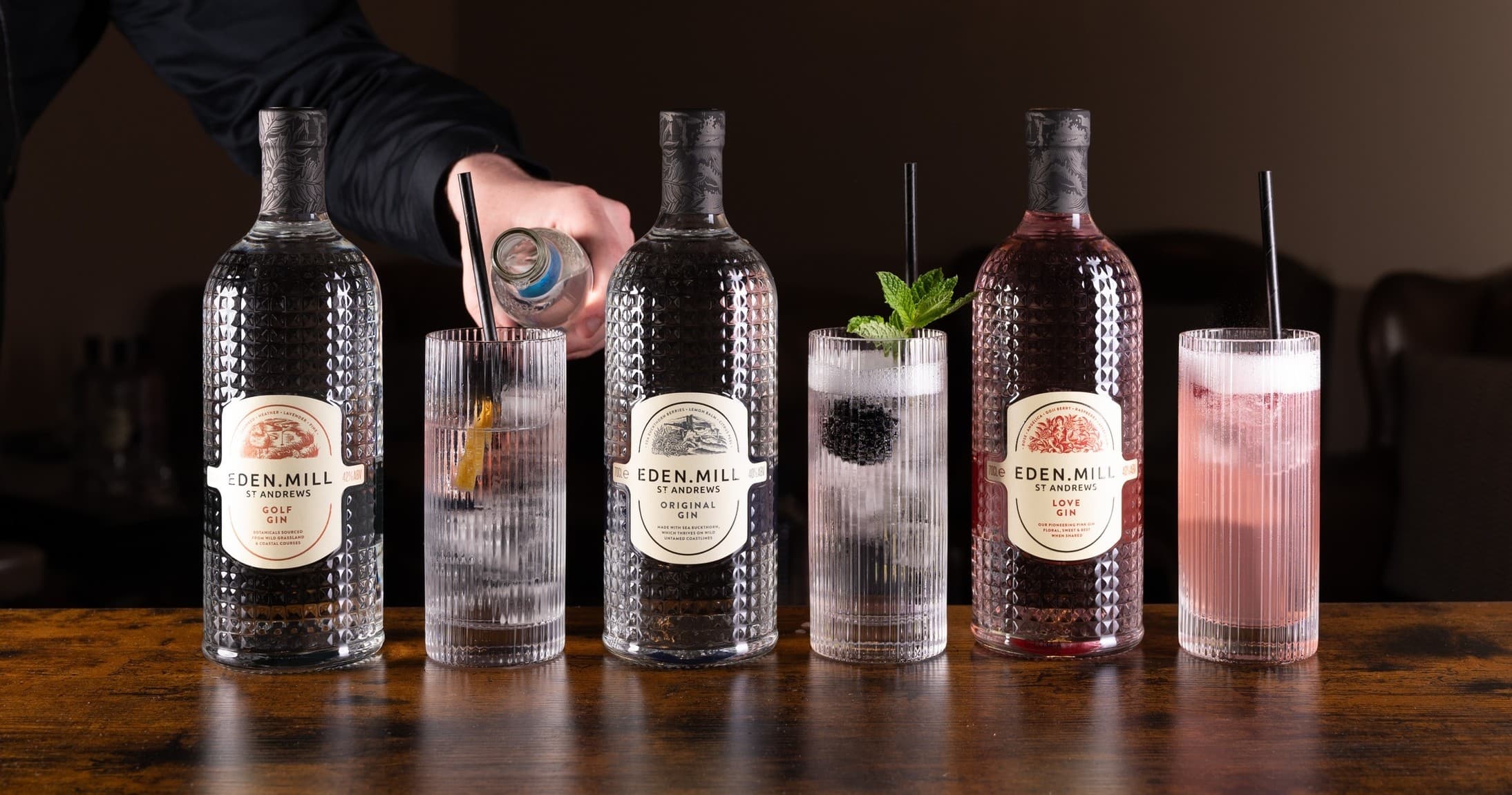 Gin Tasting Experience with a Perfect Serve