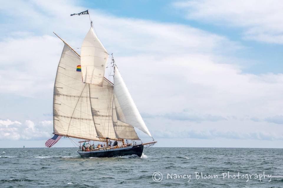 Historic Schooner Hindu • Daysail in Provincetown