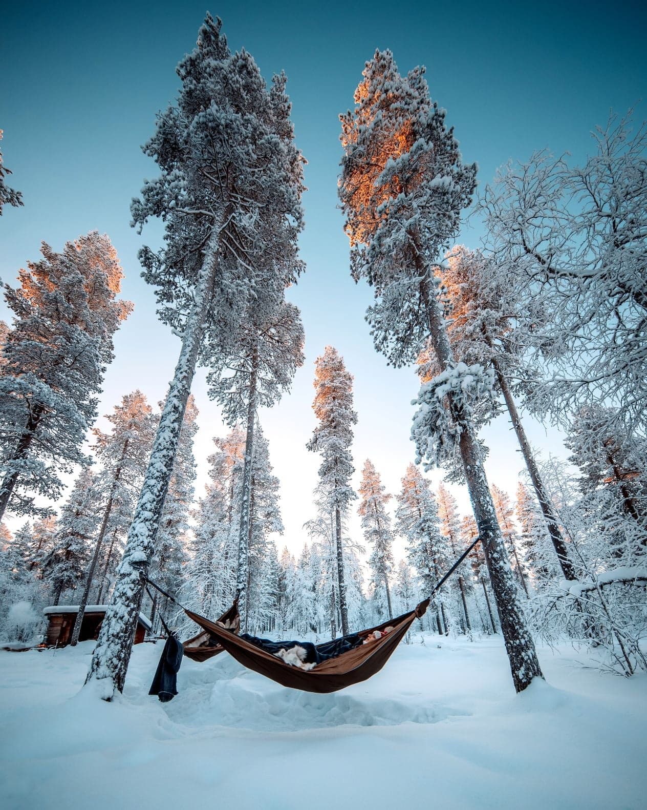 Arctic Cocooning