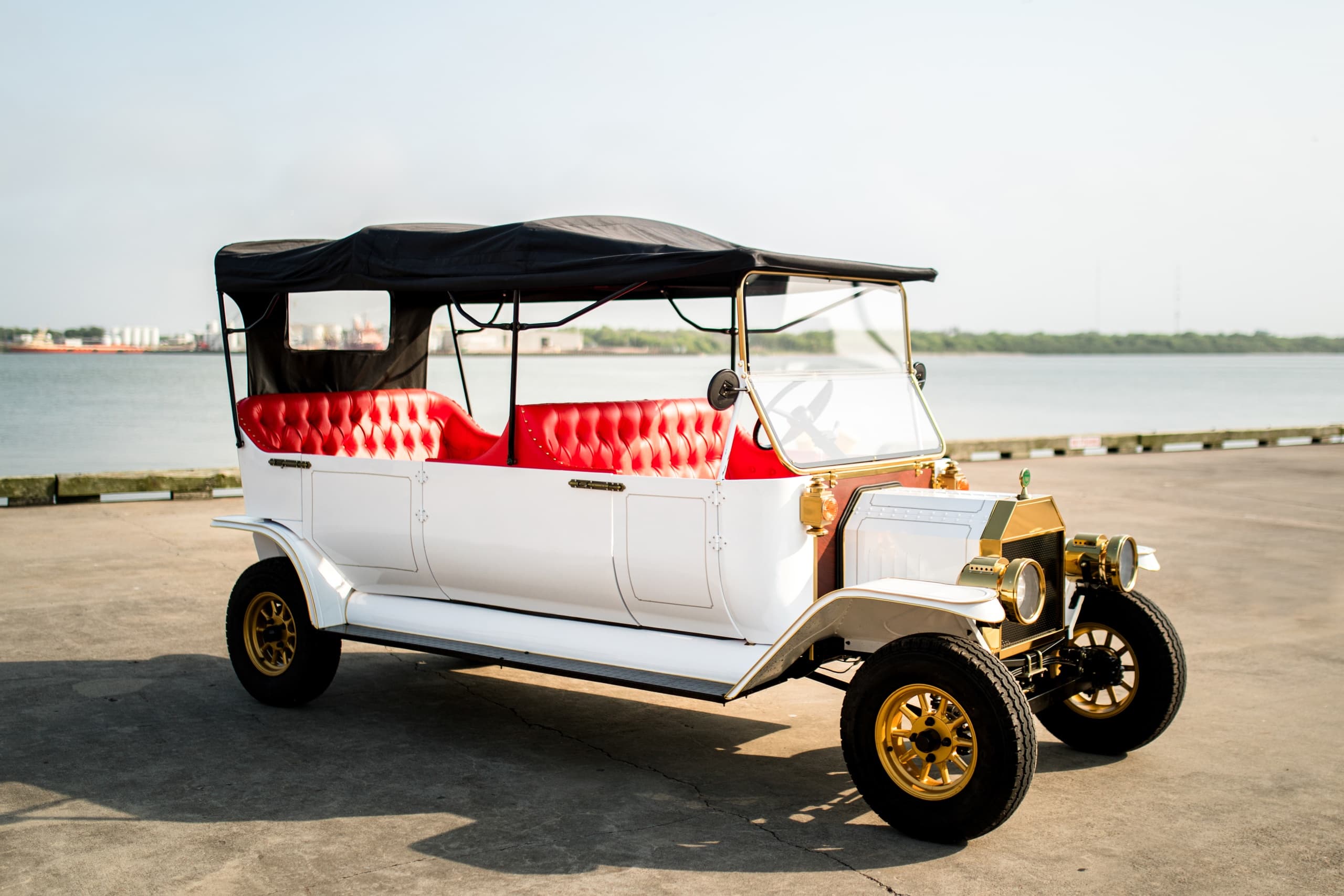Eight Seater Electric Cart Rental