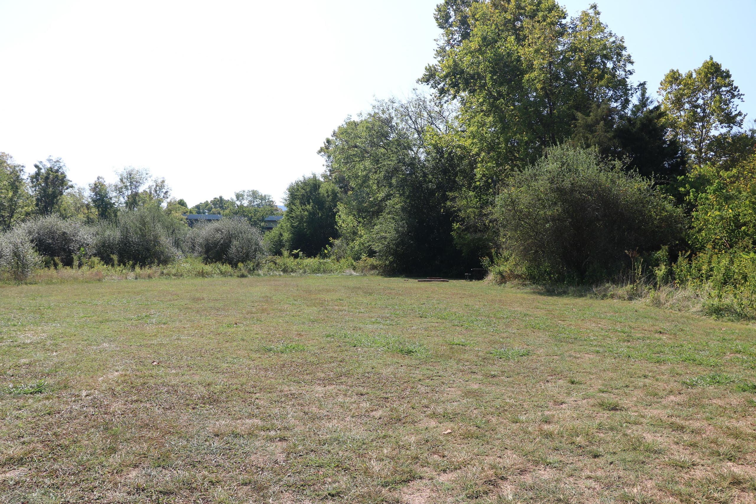 Arcadia Campground - Campsite # 1