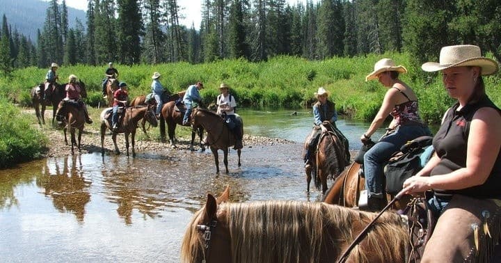 Two Hour Horseback Trail Rides