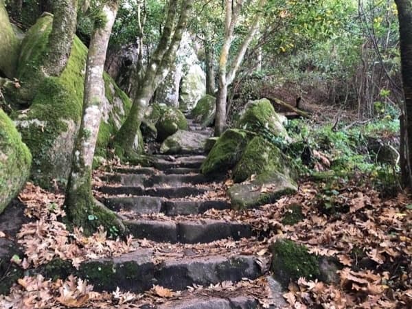 Hiking in Sintra