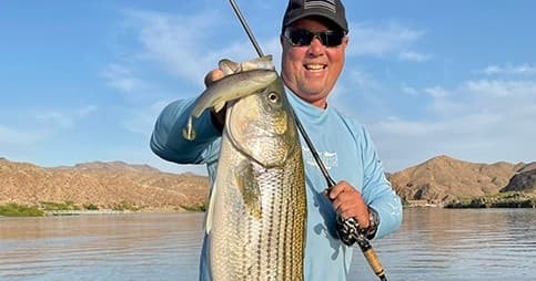 Willow Beach Fishing Trip