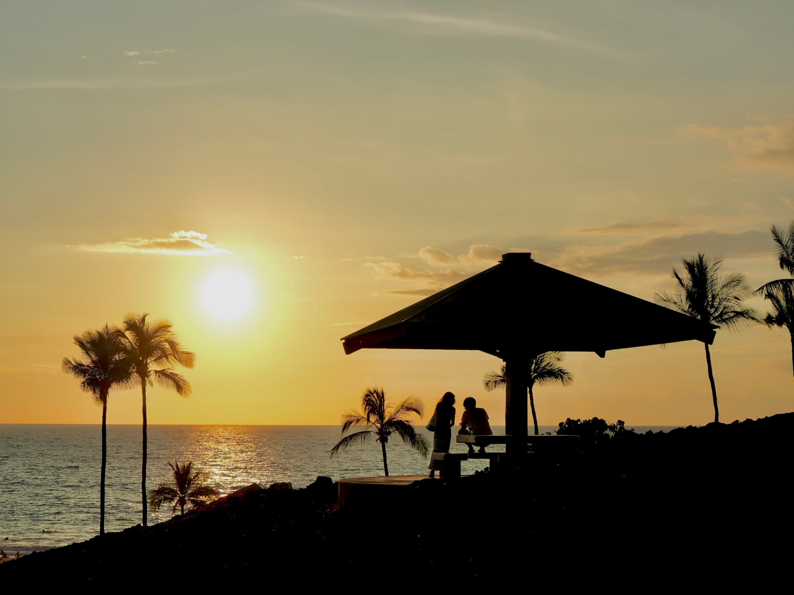 Charter Tropical Sunset and Stargazing Tour