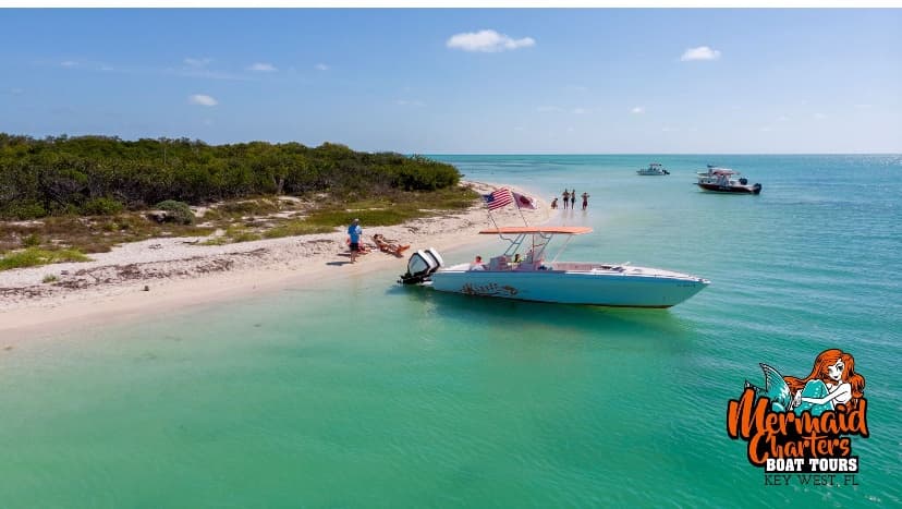 Island Excursion & Dolphin Watching