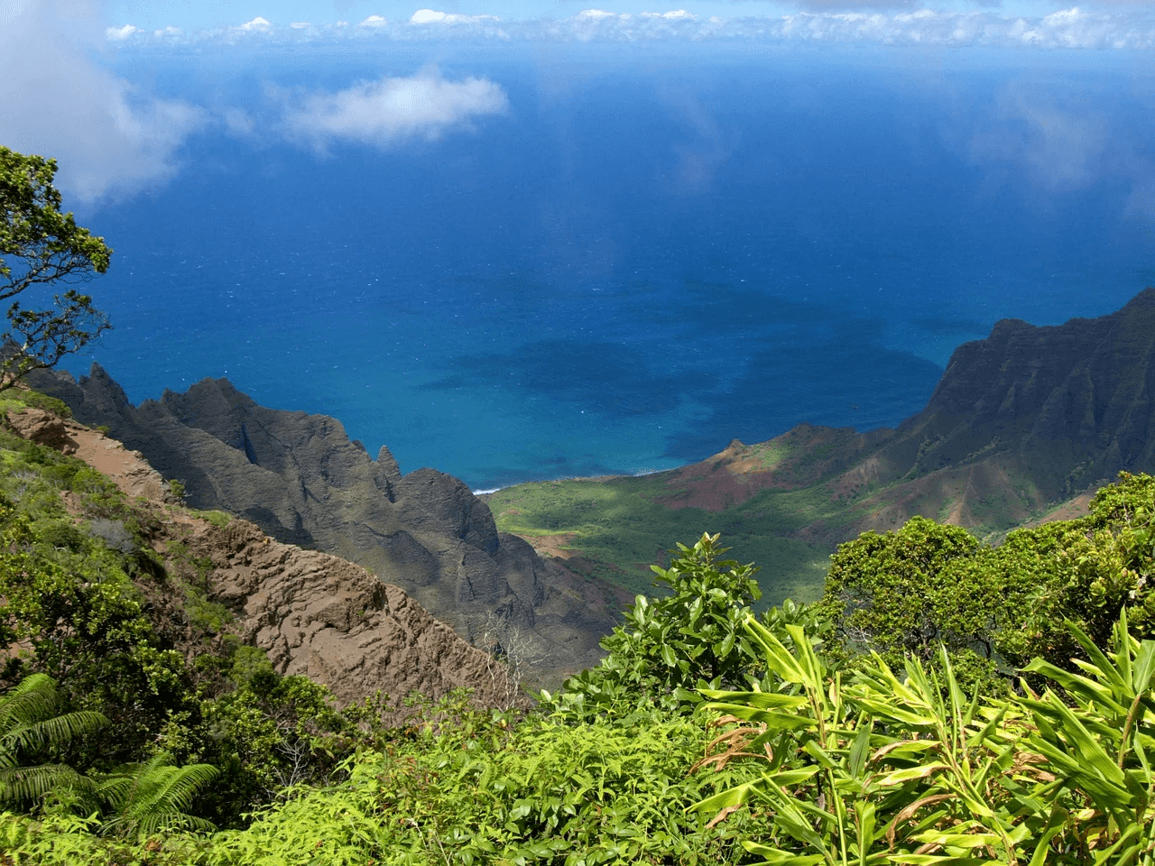 Kauai Island Van Rental