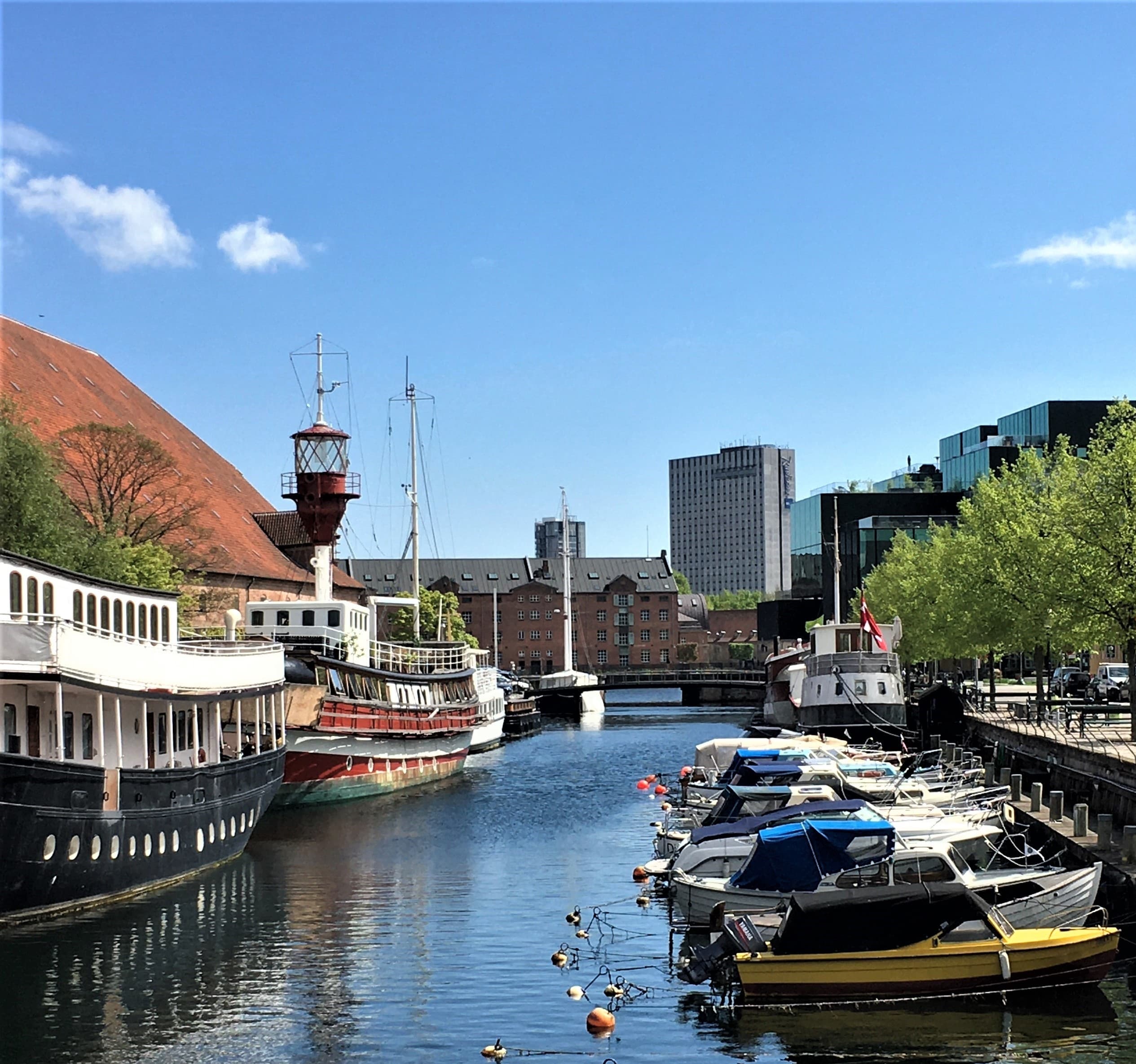 Welcome to Copenhagen Tour - 3hrs. walking