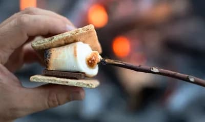 Tundra Tours; Night Hike 'N S'mores 1.0