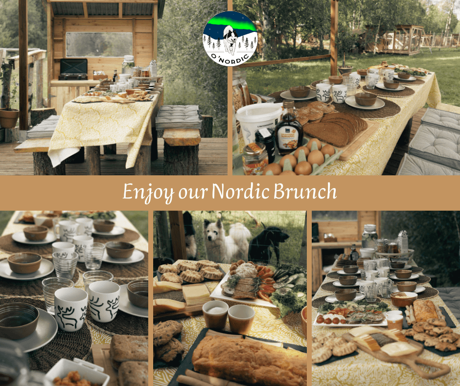 Nordic Brunch en terrasse autour des chiens