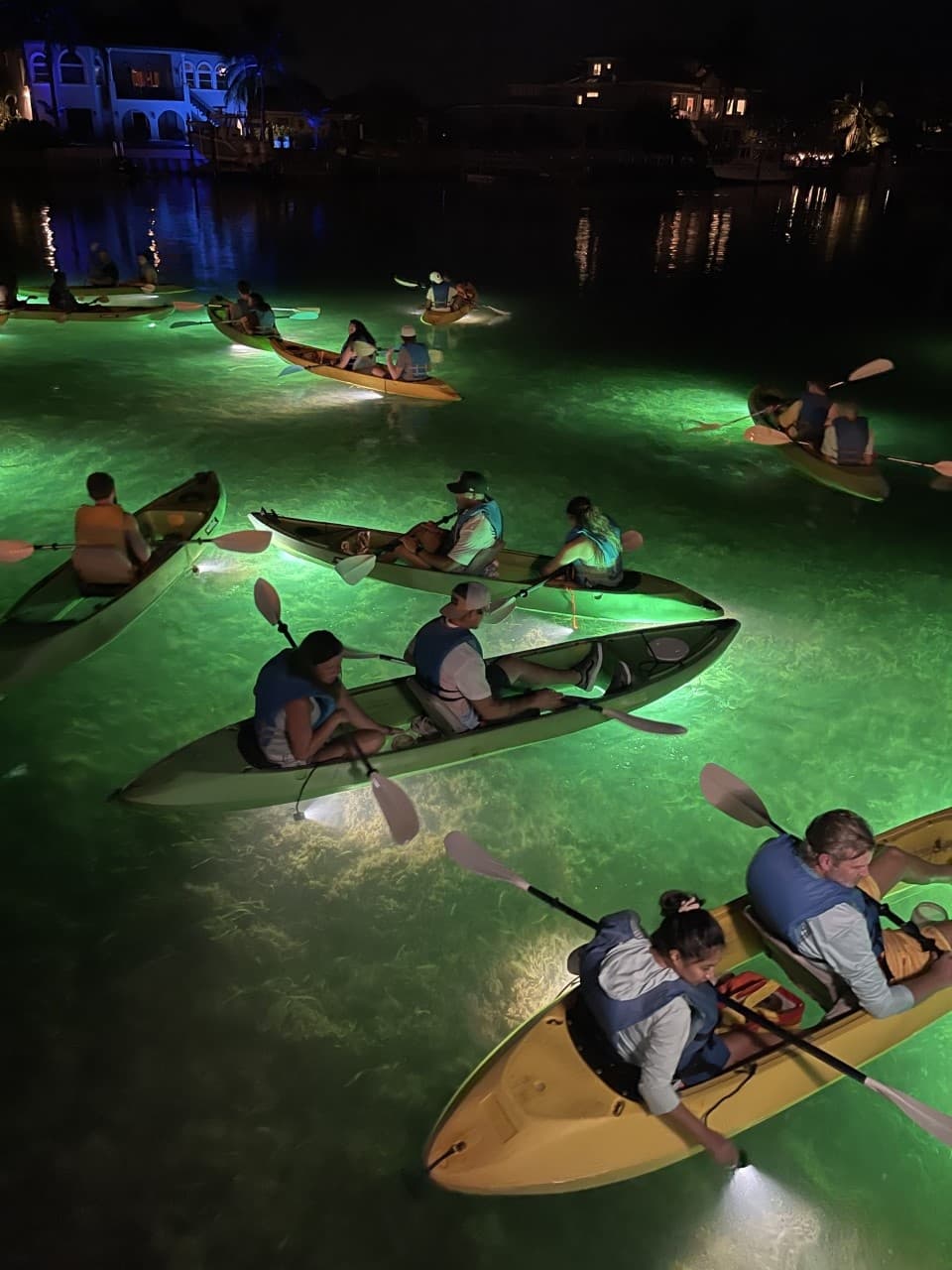 Sharkeys Glass Bottom Fish Feeding LED Night Tour in Clearwater Beach