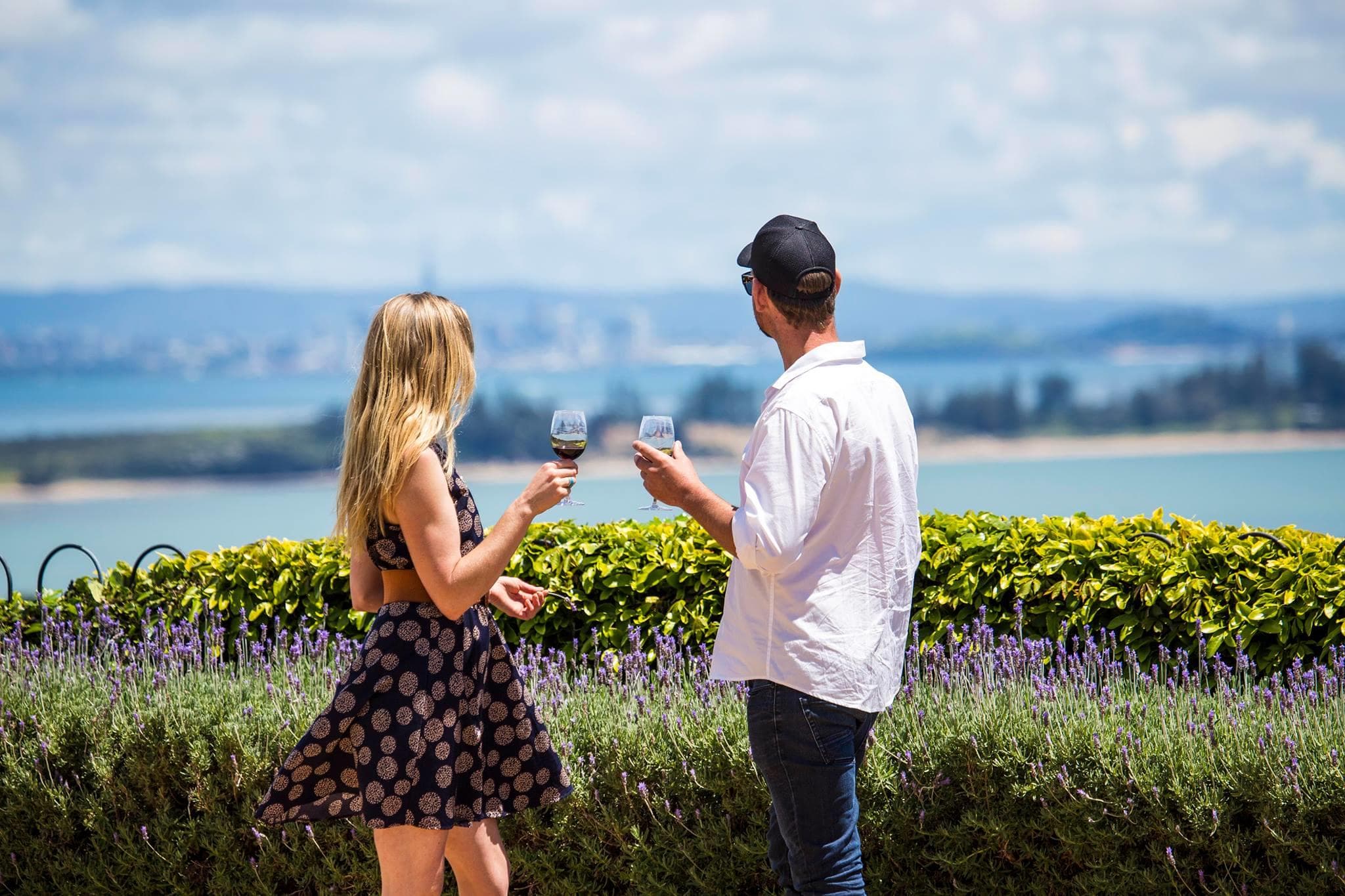 The Essence of Waiheke Wine Tour
