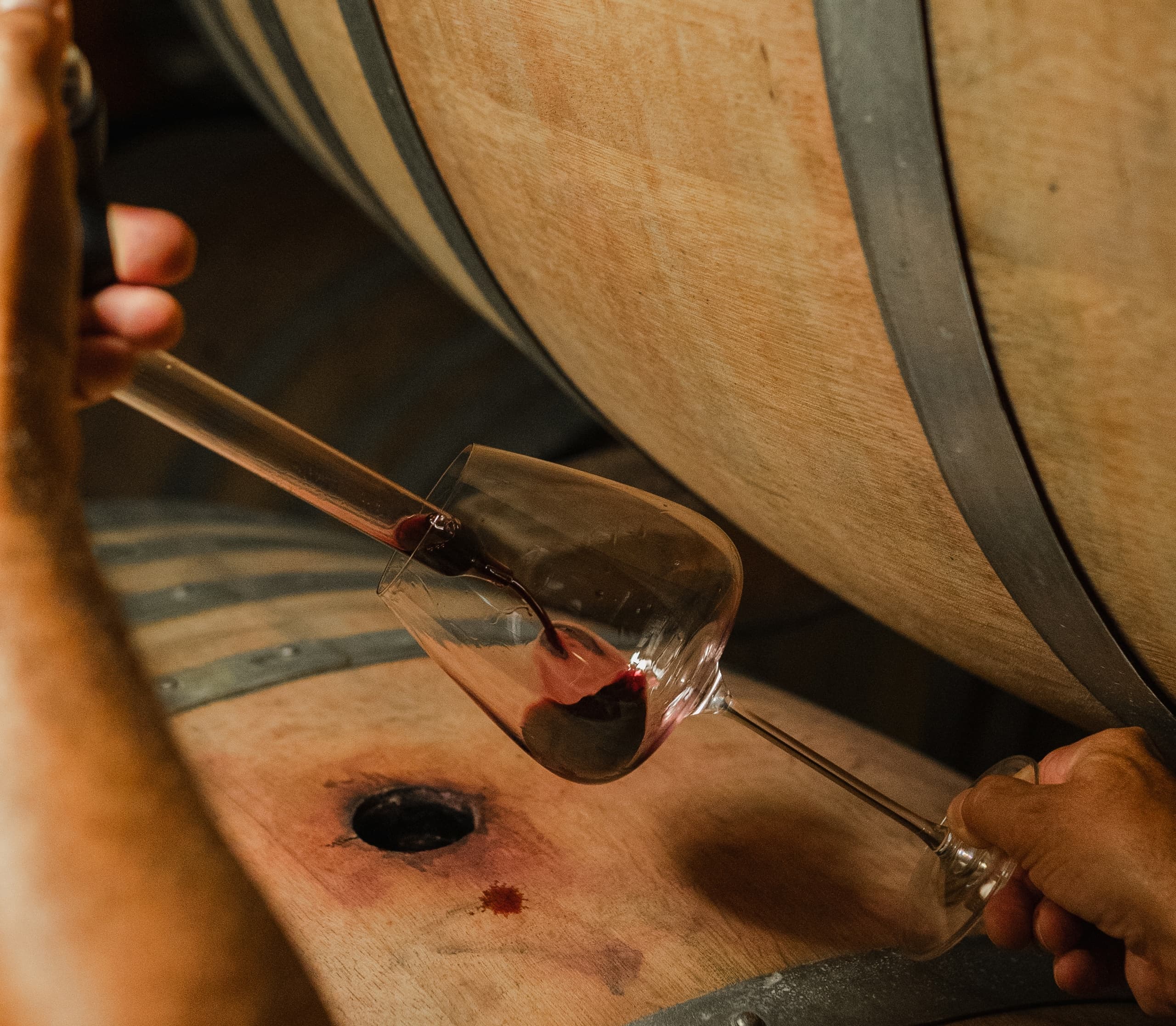 Backstage Brunello e Gourmet Wine & Food Tasting