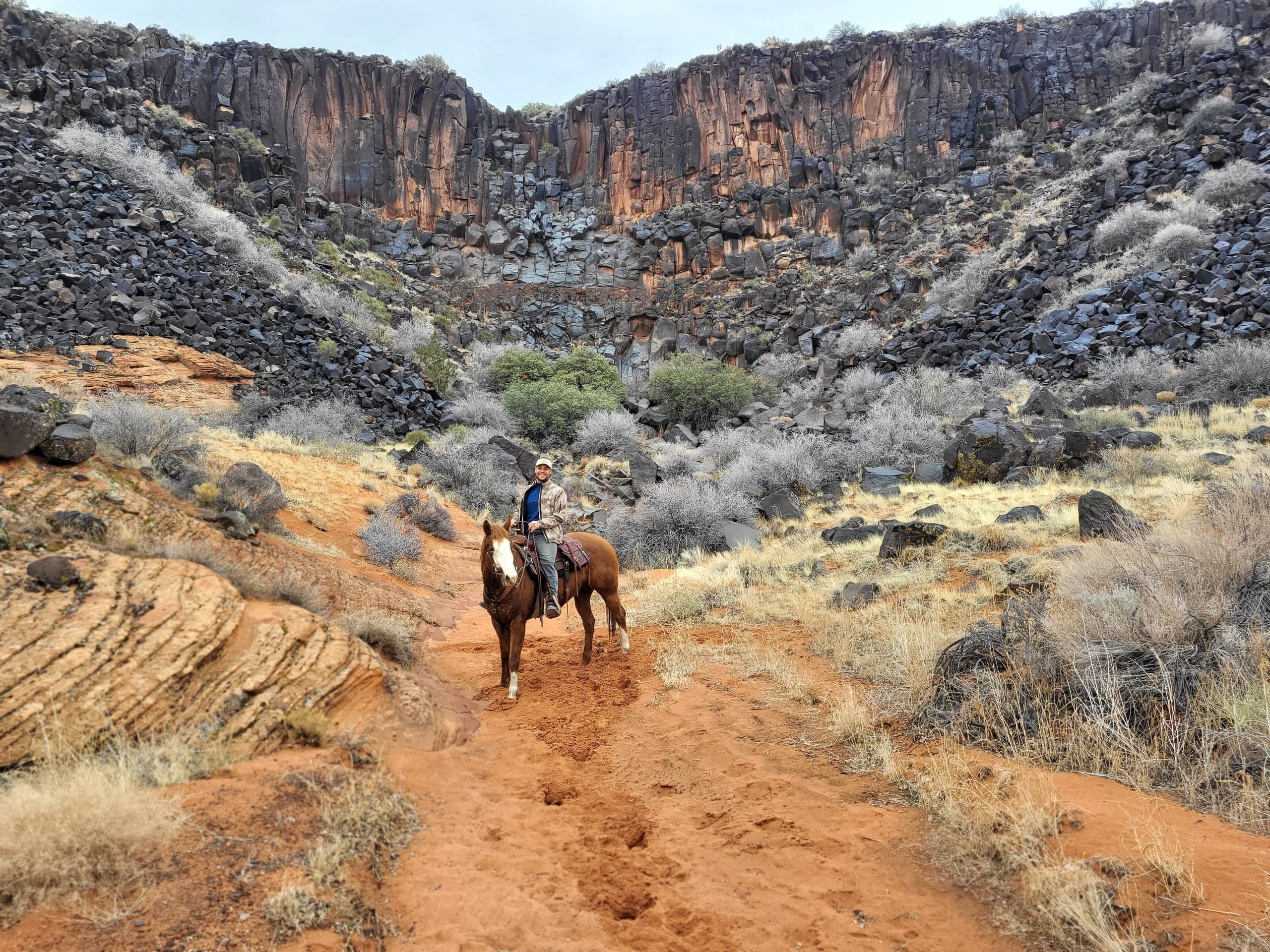 Fundamentals Horseback Riding Lesson