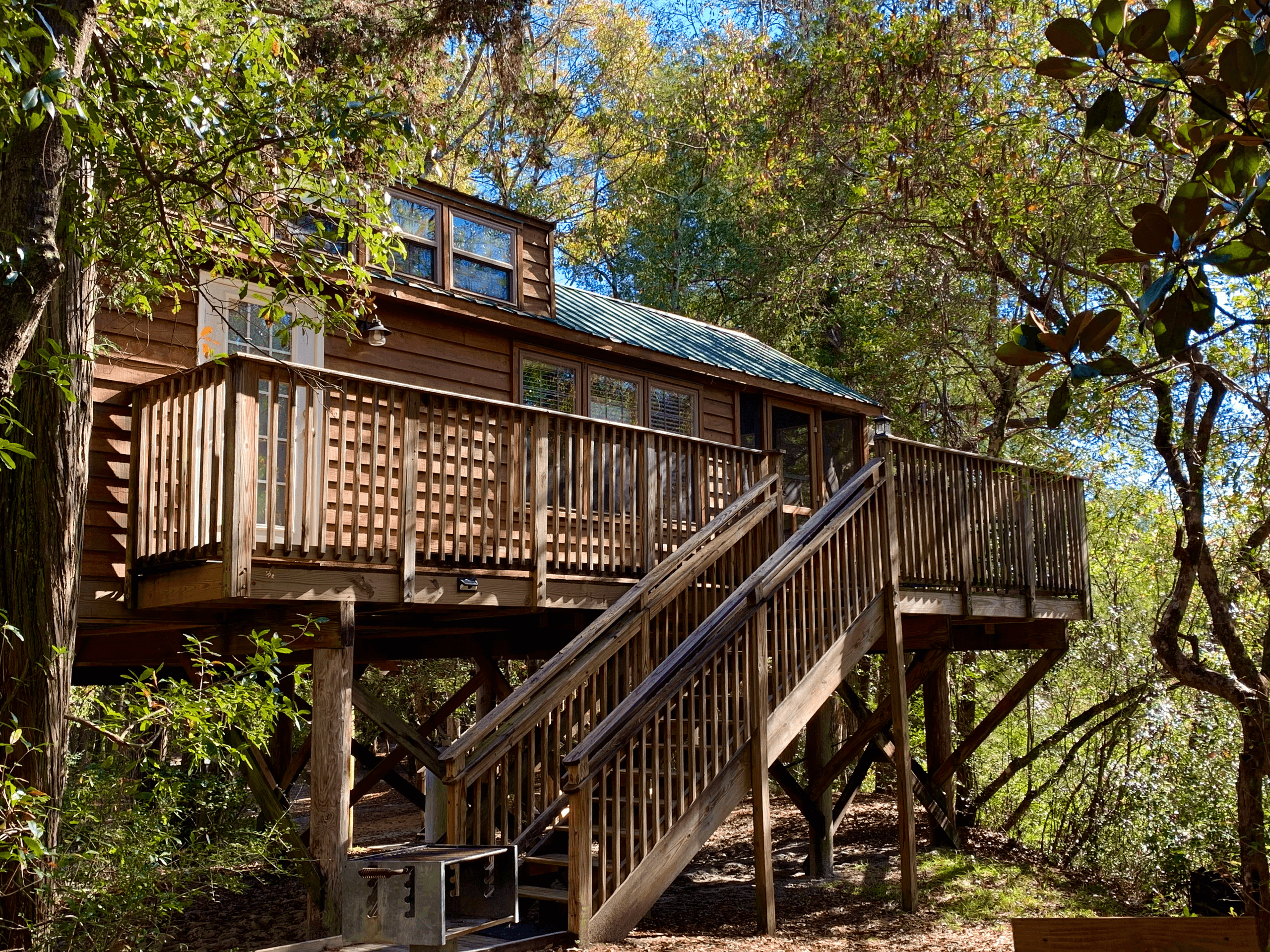 Palmetto Cabin