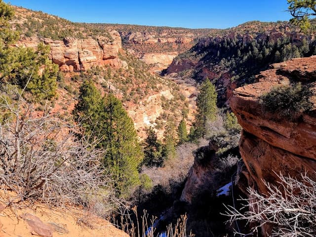 Hiking: South Fork Indian Canyon