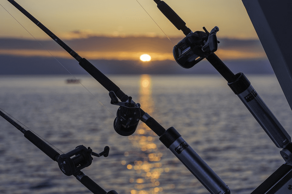 Half Day Charter