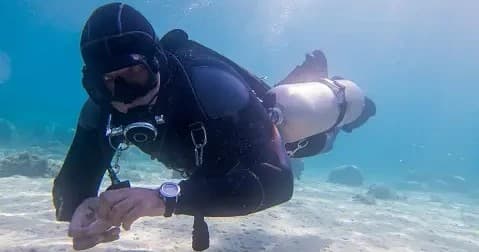 TDI SIDEMOUNT