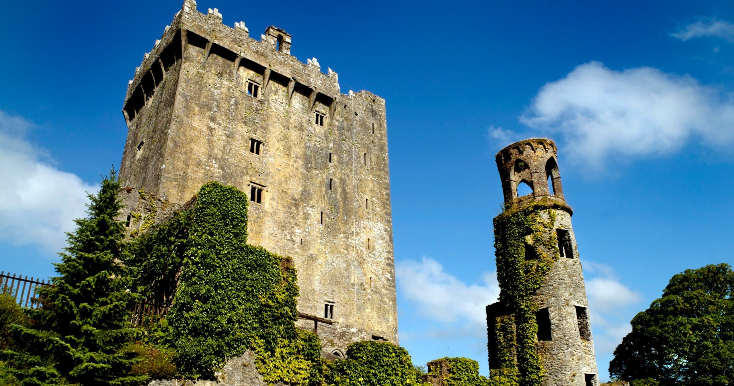 Cork and Blarney Day Tour