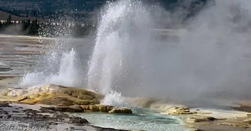 Private Yellowstone “Hot Spots” Tour