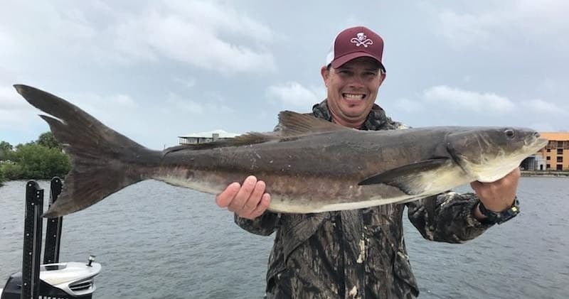 Bradenton Fishing Charters