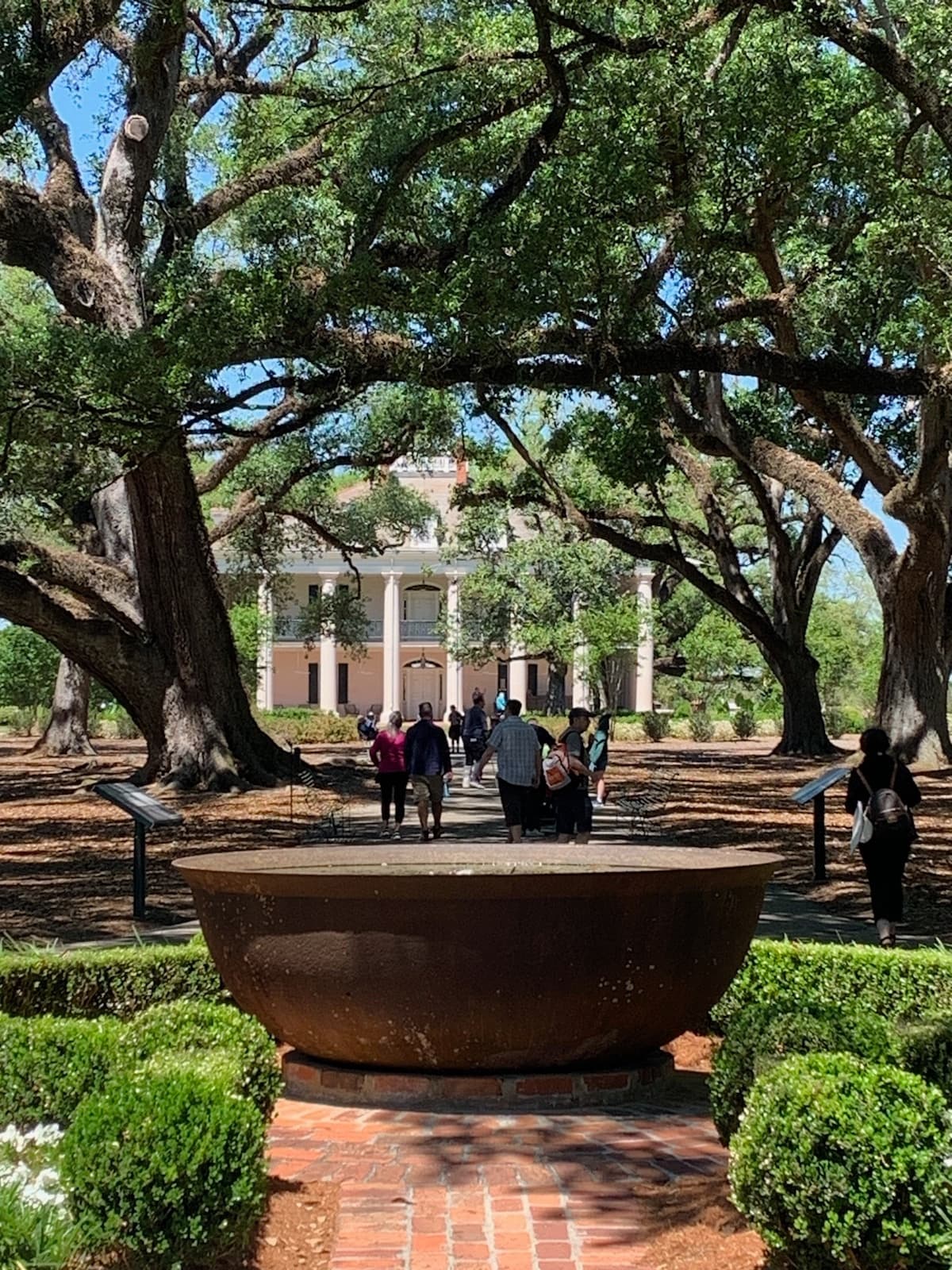 Oak Alley Plantation & Nola Culture City Tours