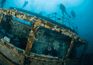 Two Dive - Oriskany