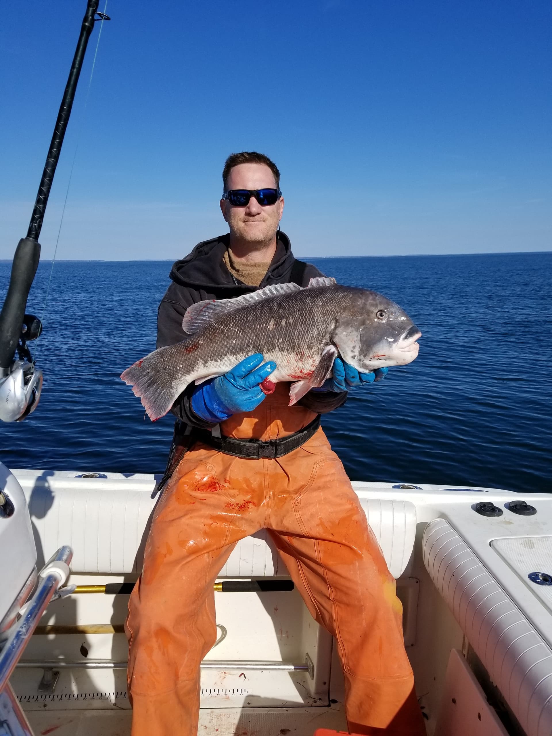 Tog Charters