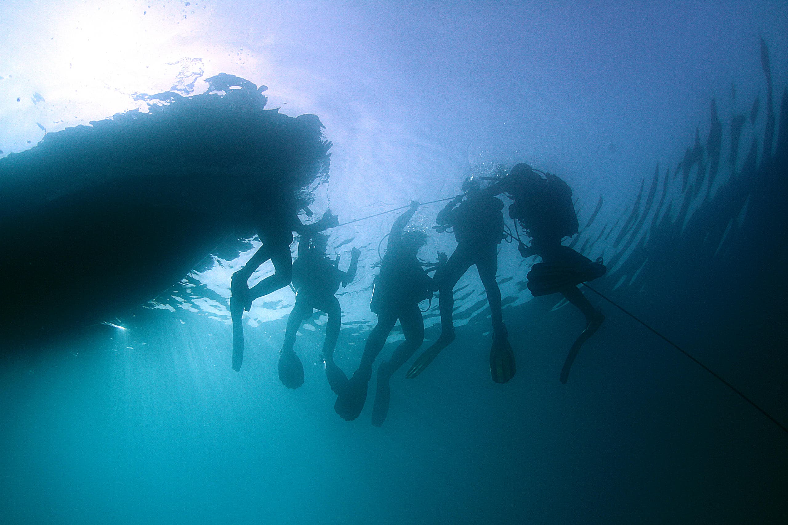 2 Dives