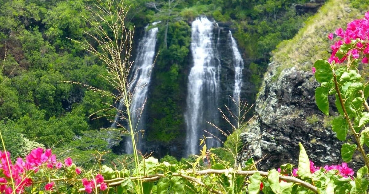 Kauai Eastside Waterfalls -  Short & Sweet! (5 hrs)