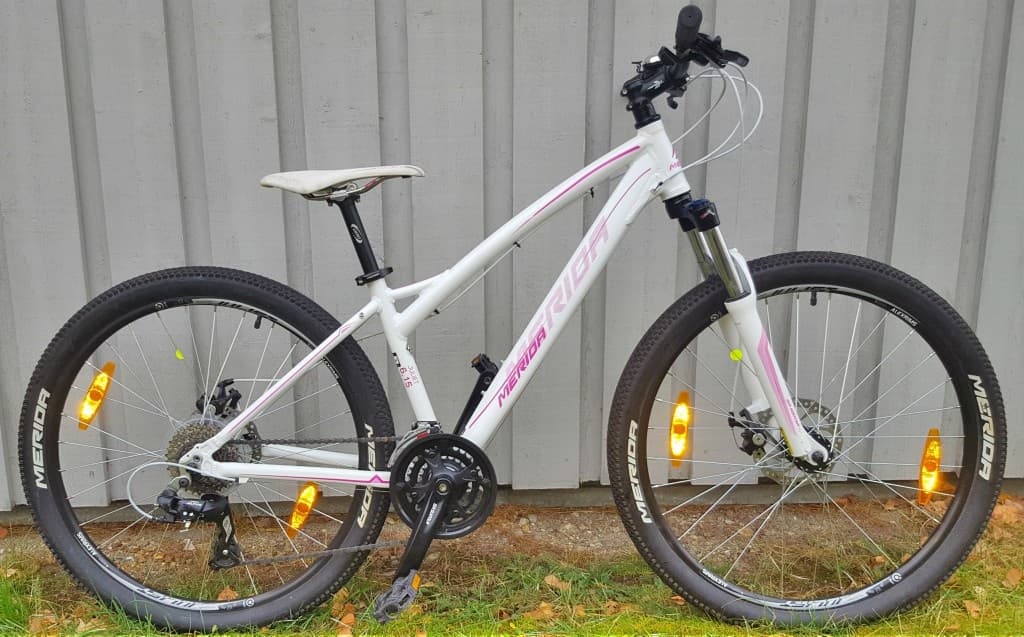 Family Bike Rental - 4 Days