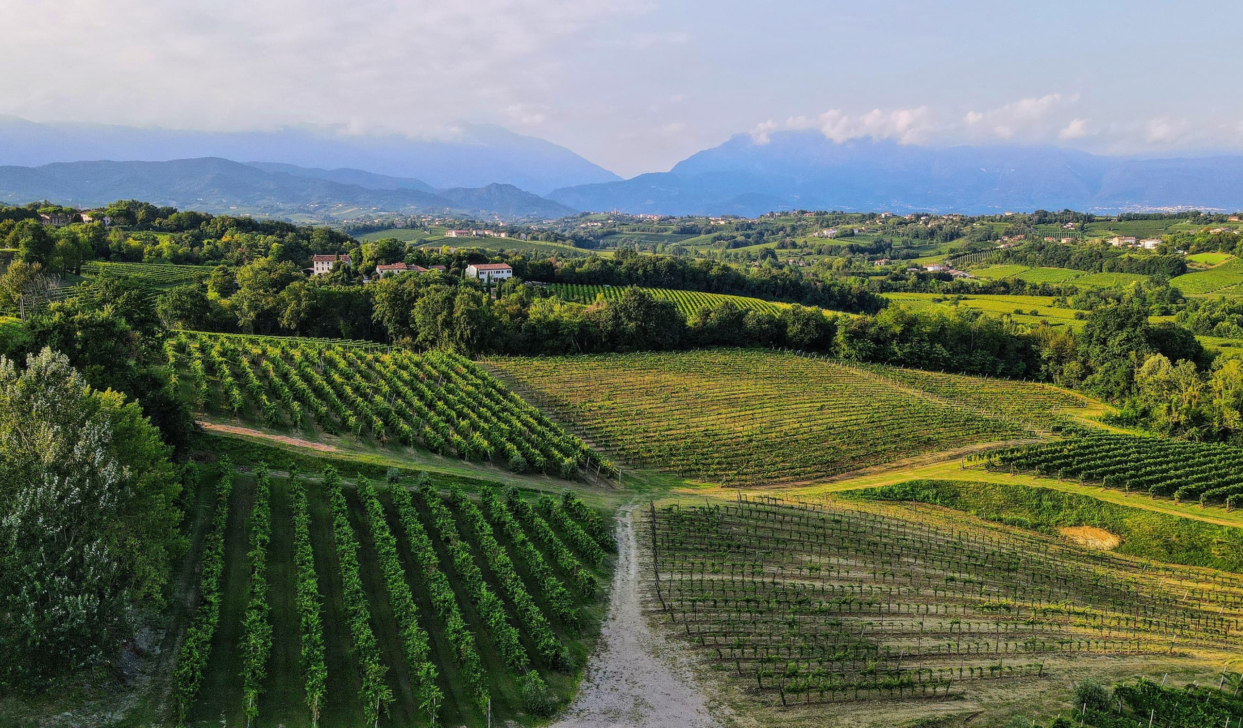 Degustazione Premium