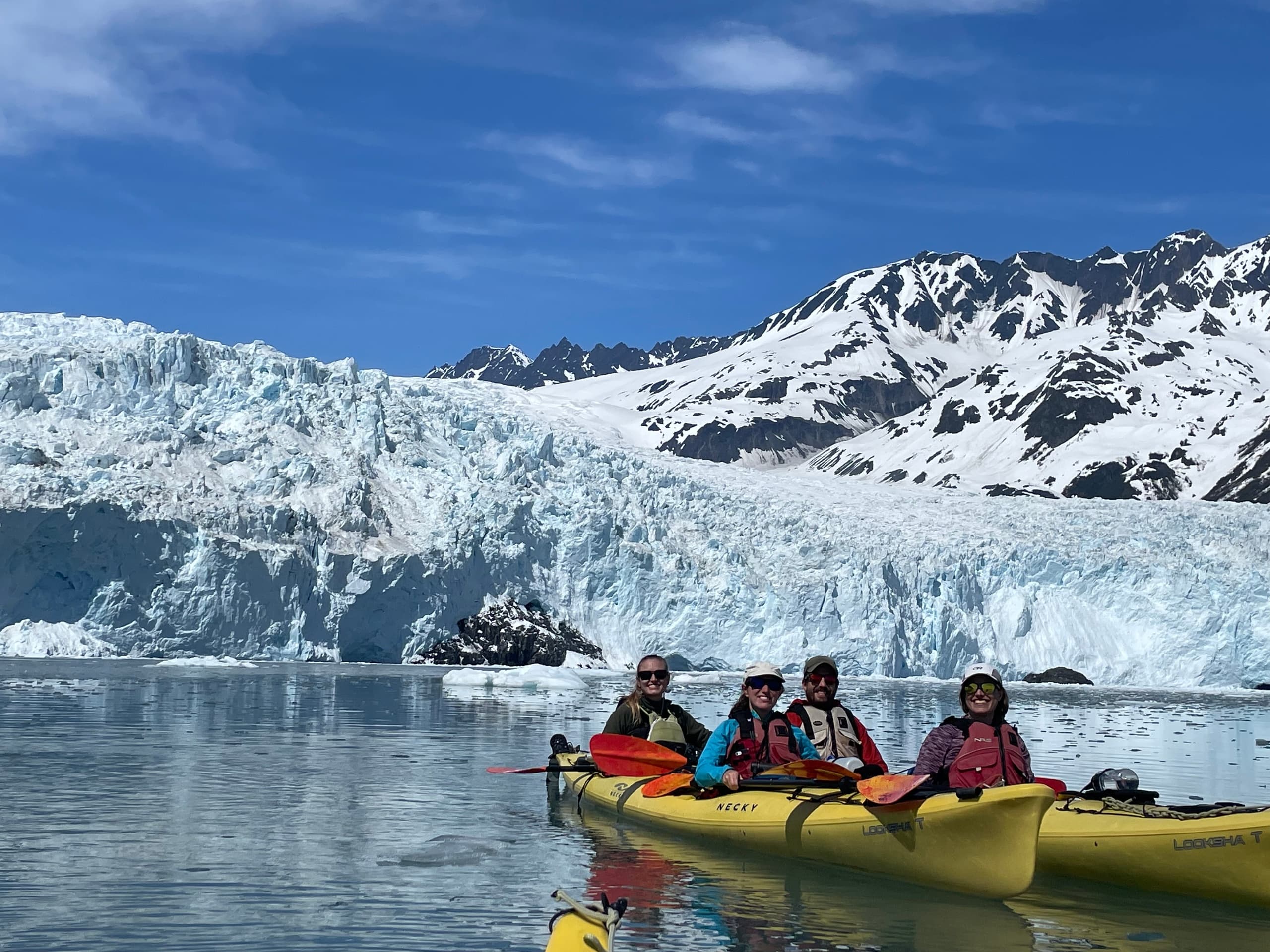 Aialik Glacier Full Day Kayaking & Wildlife Cruise