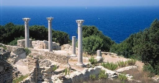 Escursione Privata Isola di Giannutri