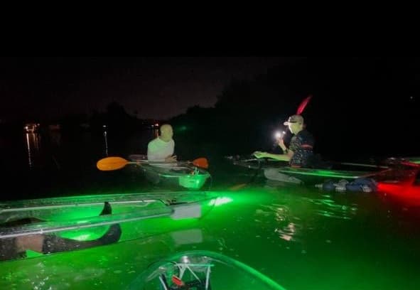 Sharkey's Glass Bottom Fish Feeding LED Night Tour Palm Harbor
