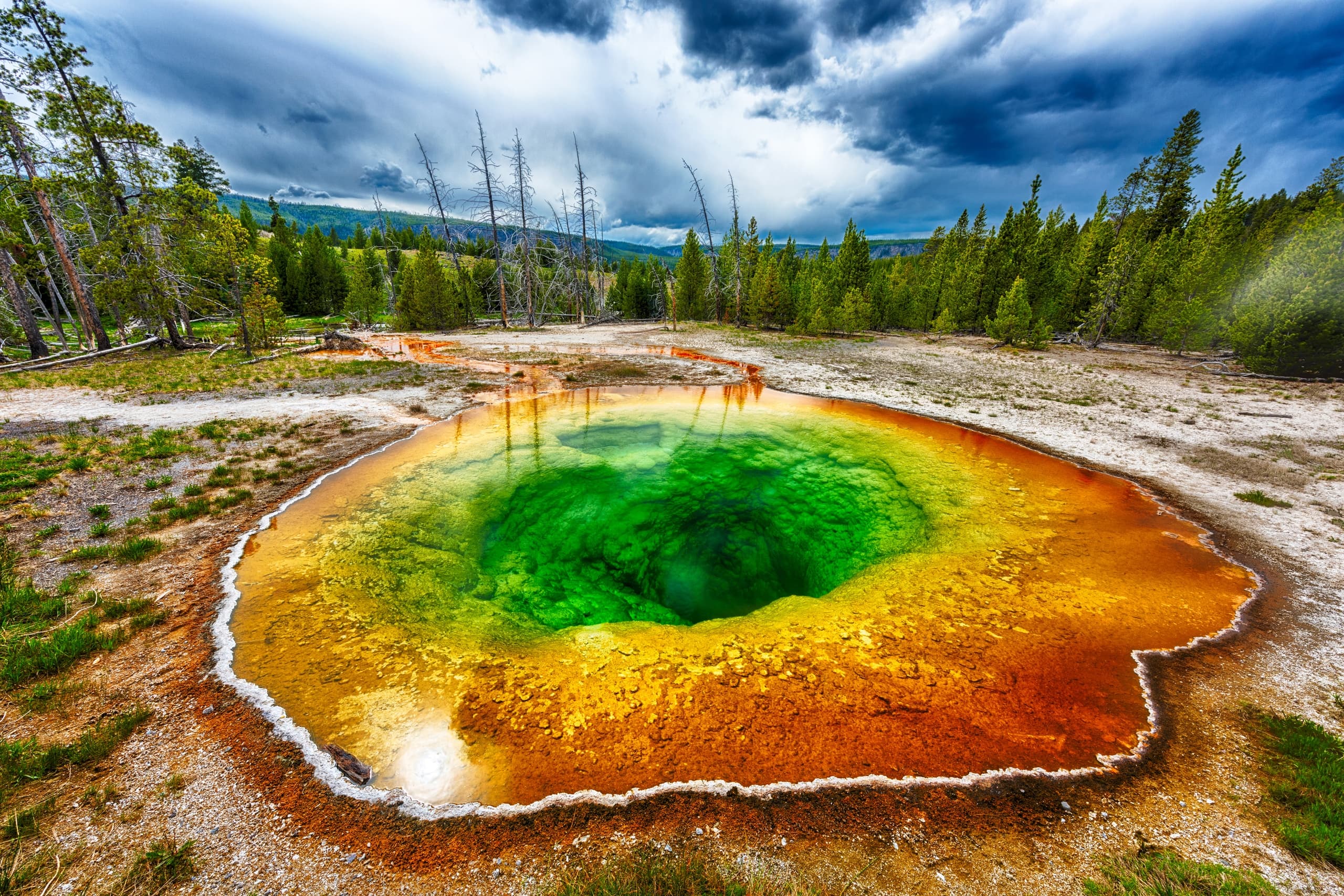 Two-Day Tour of Yellowstone National Park