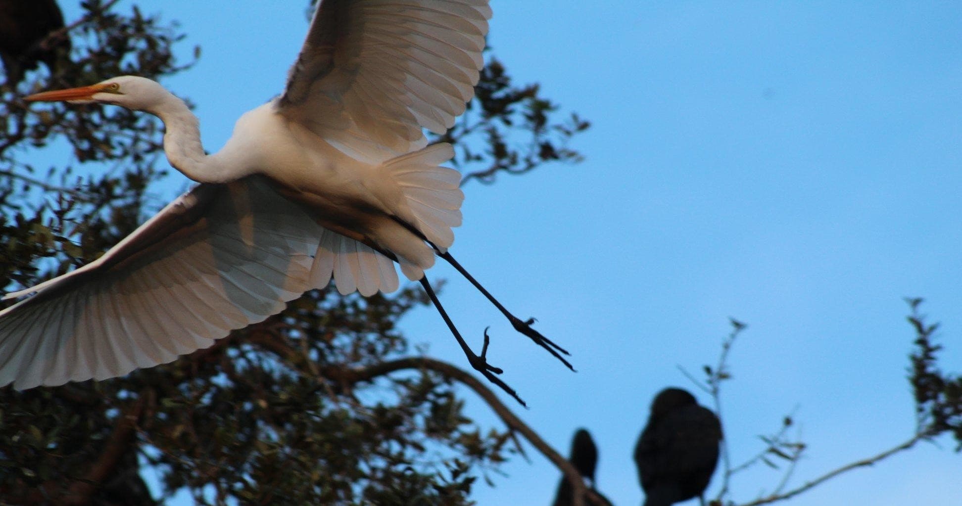 Bird Island and Evers Reservoir Tour