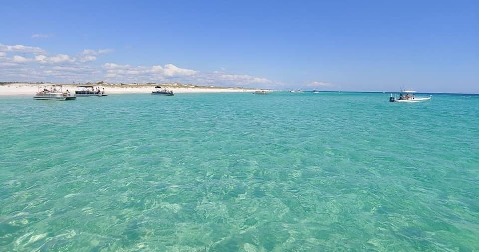 Three Hour Private Sightseeing/Dolphin Tour