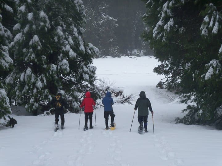 SnowShoe Rental