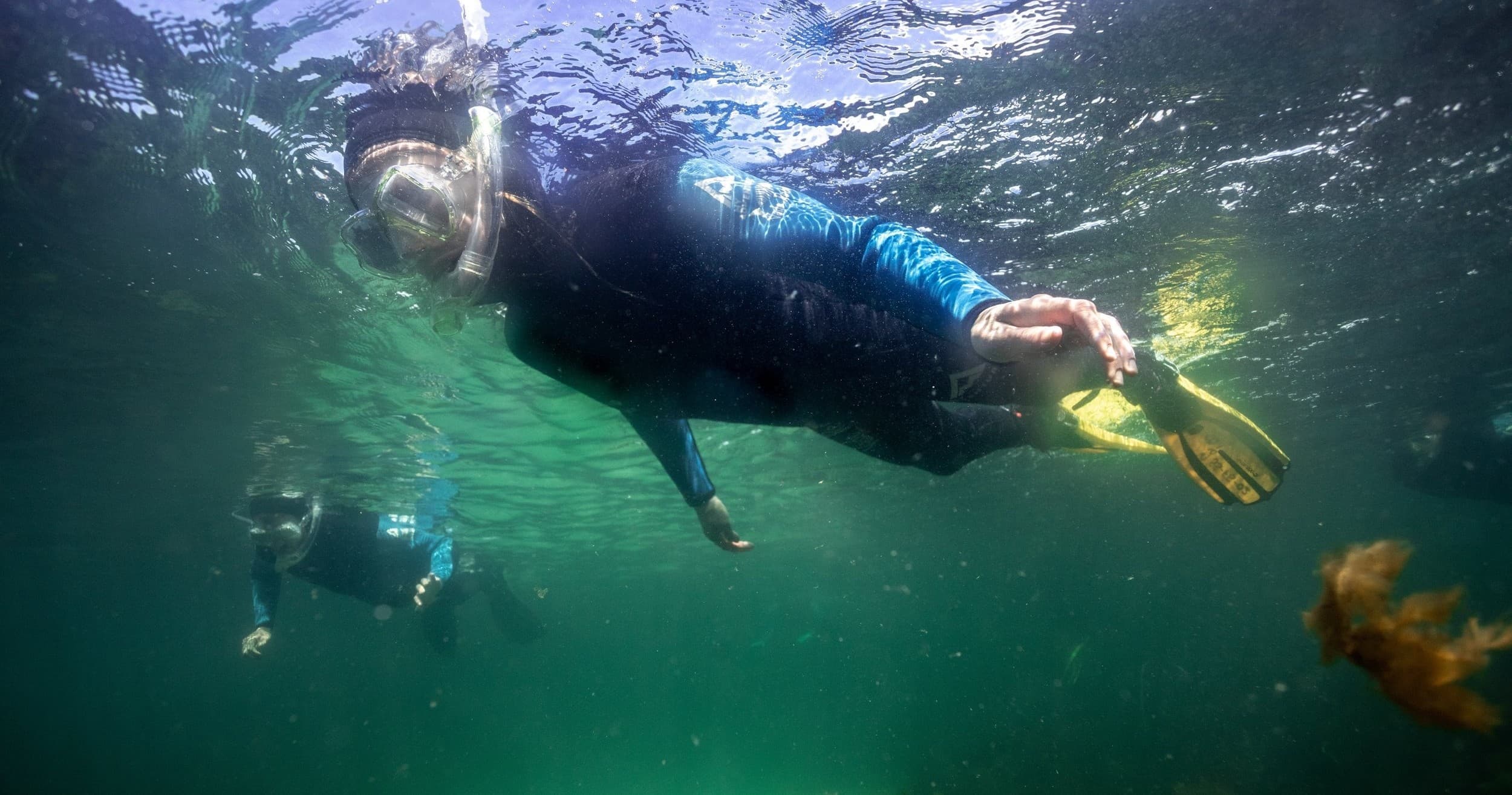 Private Snorkelling Session