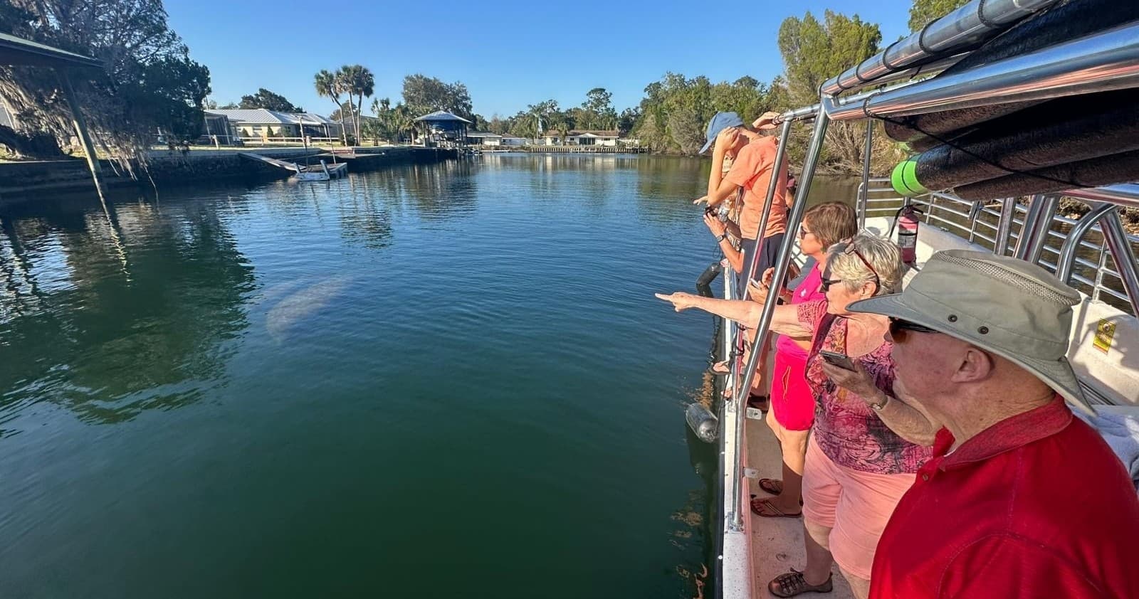 Private Manatee Viewing Cruise