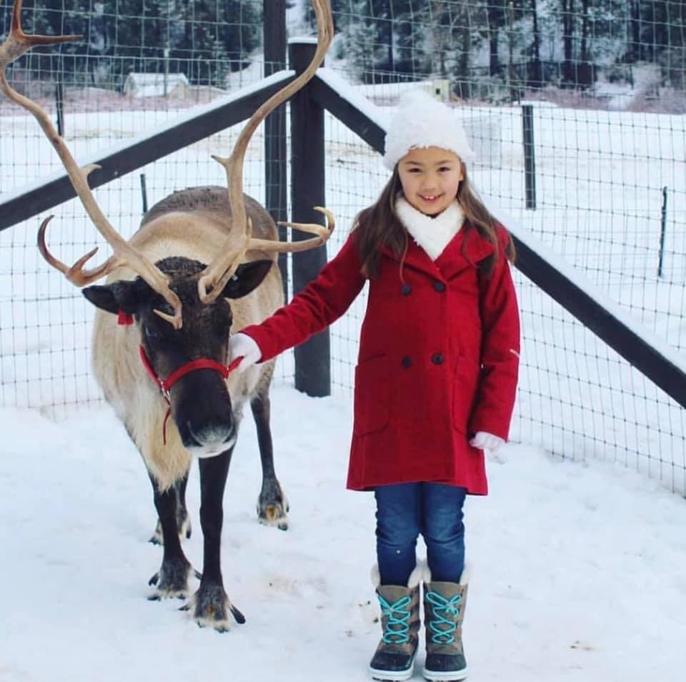 Celebrate the Season" Holiday Reindeer Farm Experience"