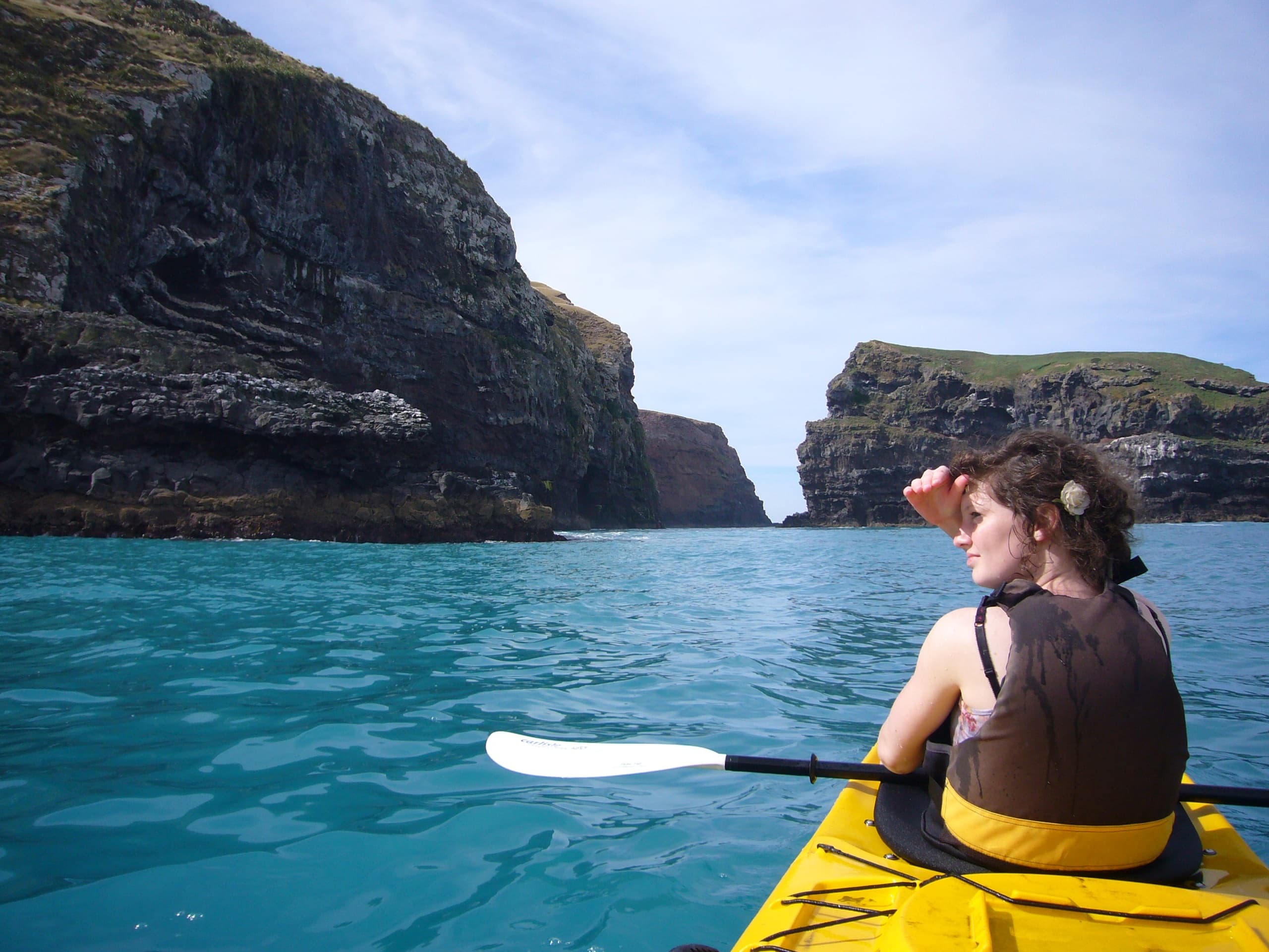 Early Bird Scenic Kayak Safari